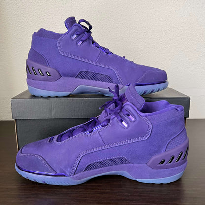 Nike Air Zoom Generation Court Purple Suede Lebron